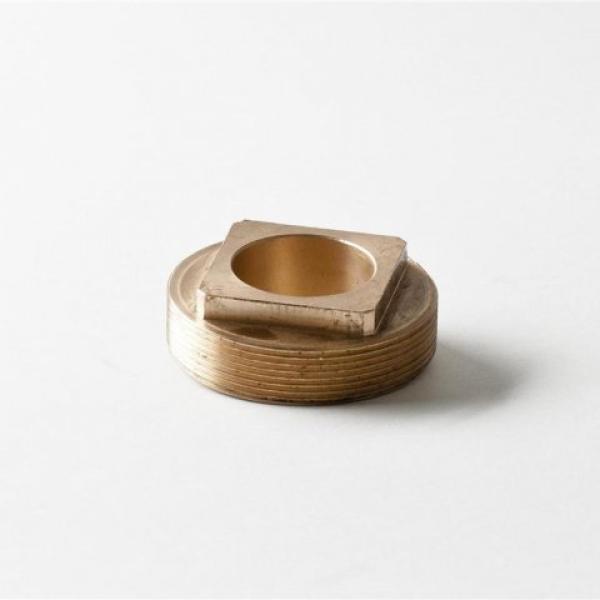 cap water swivel